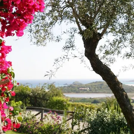 Myrtos - 300mt Dal Mare * Chia