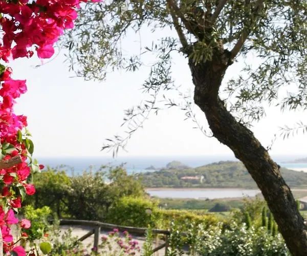 Myrtos - 300mt Dal Mare * Chia